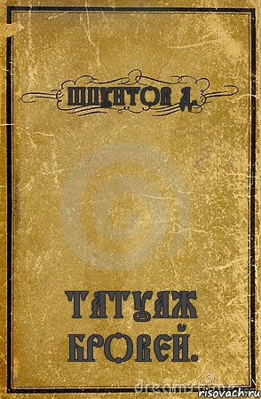 ШПУНТОВ Д. ТАТУАЖ БРОВЕЙ., Комикс обложка книги