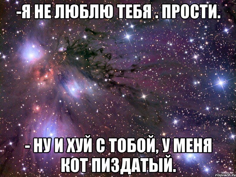 -я не люблю тебя . прости. - ну и хуй с тобой, у меня кот пиздатый., Мем Космос