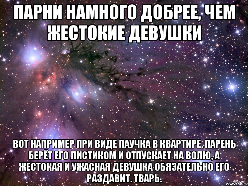 парни намного добрее, чем жестокие девушки вот например при виде паучка в квартире, парень берёт его листиком и отпускает на волю, а жестокая и ужасная девушка обязательно его раздавит. тварь., Мем Космос