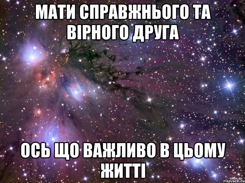 мати справжнього та вірного друга ось що важливо в цьому житті, Мем Космос