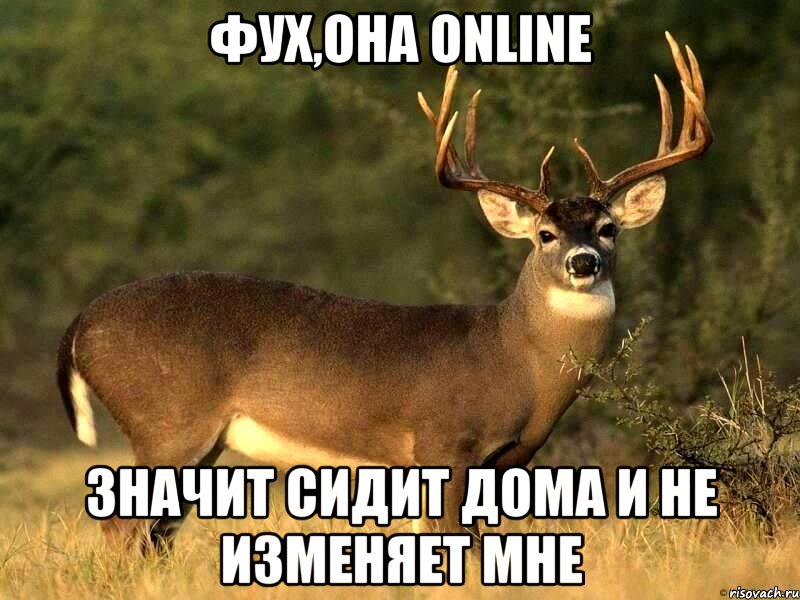 фух,она online значит сидит дома и не изменяет мне