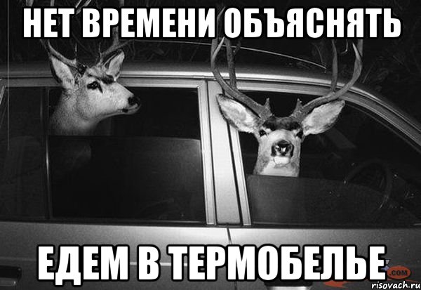 нет времени объяснять едем в термобелье
