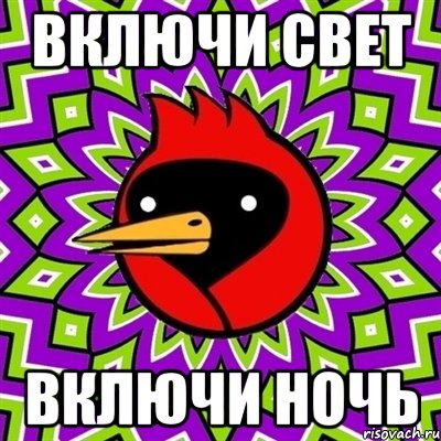 включи свет включи ночь, Мем Омская птица