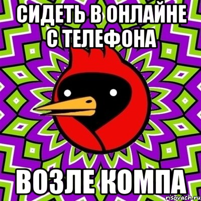 сидеть в онлайне с телефона возле компа, Мем Омская птица