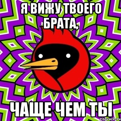 я вижу твоего брата, чаще чем ты, Мем Омская птица