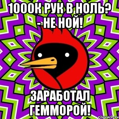 1000к рук в ноль? - не ной! заработал гемморой!, Мем Омская птица