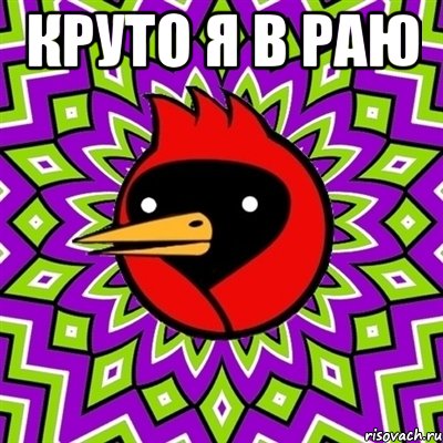 круто я в раю , Мем Омская птица