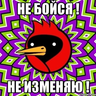 не бойся ! не изменяю !, Мем Омская птица