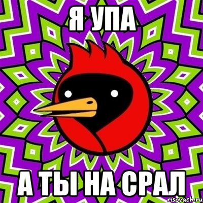 я упа а ты на срал, Мем Омская птица