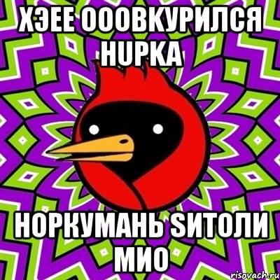 хэee ooobkурился huрka норкумань sитоли мио, Мем Омская птица