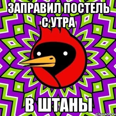 заправил постель с утра в штаны, Мем Омская птица