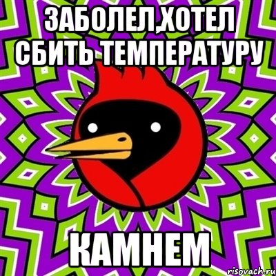 заболел,хотел сбить температуру камнем, Мем Омская птица
