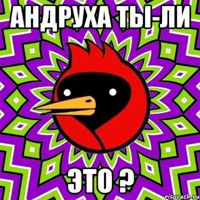 андруха ты-ли это ?, Мем Омская птица