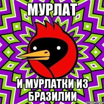 мурлат и мурлатки из бразилии, Мем Омская птица