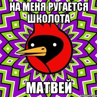 на меня ругается школота матвей, Мем Омская птица