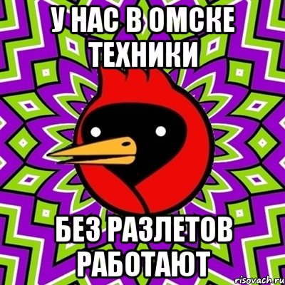 у нас в омске техники без разлетов работают, Мем Омская птица