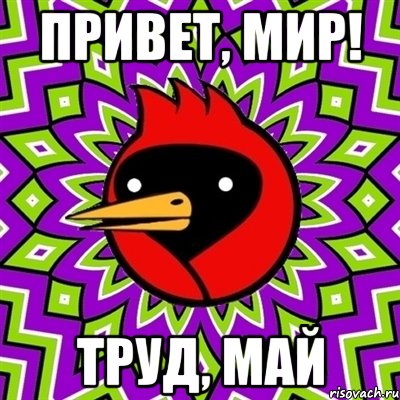 привет, мир! труд, май, Мем Омская птица