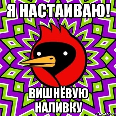 я настаиваю! вишнёвую наливку, Мем Омская птица