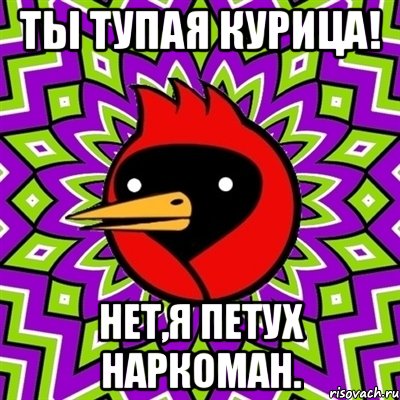 ты тупая курица! нет,я петух наркоман., Мем Омская птица