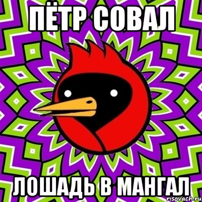 пётр совал лошадь в мангал, Мем Омская птица