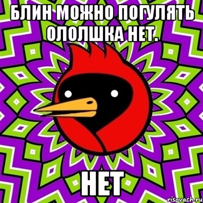 блин можно погулять ололшка нет. нет, Мем Омская птица