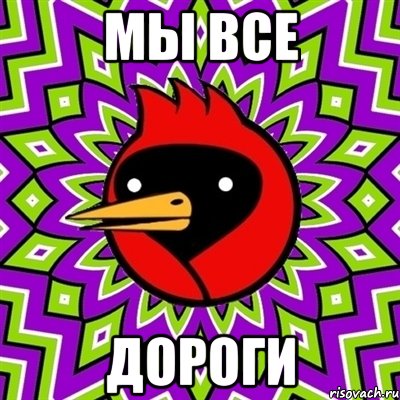 мы все дороги, Мем Омская птица