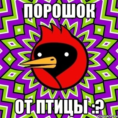 порошок от птицы :?, Мем Омская птица