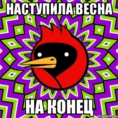 наступила весна на конец, Мем Омская птица