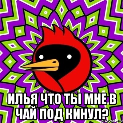  илья что ты мне в чай под кинул?, Мем Омская птица