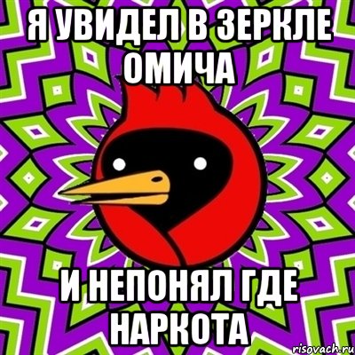 я увидел в зеркле омича и непонял где наркота, Мем Омская птица
