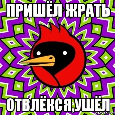 пришёл жрать отвлёкся,ушёл, Мем Омская птица