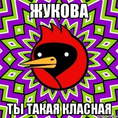 жукова ты такая класная, Мем Омская птица