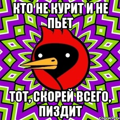 кто не курит и не пьет тот, скорей всего, пиздит, Мем Омская птица