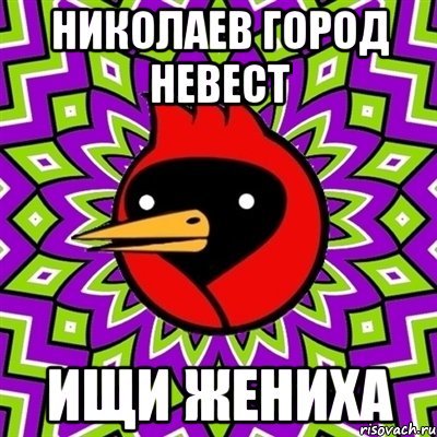 николаев город невест ищи жениха, Мем Омская птица
