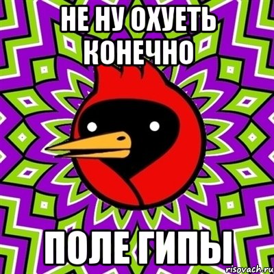 не ну охуеть конечно поле гипы, Мем Омская птица