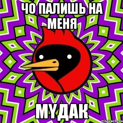 чо палишь на меня мyдак, Мем Омская птица