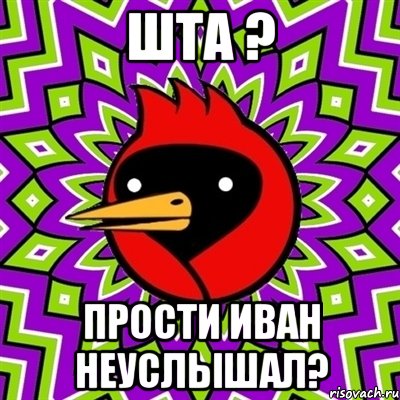 шта ? прости иван неуслышал?, Мем Омская птица