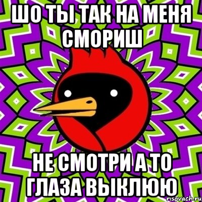 шо ты так на меня смориш не смотри а то глаза выклюю, Мем Омская птица