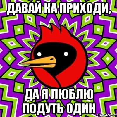 давай ка приходи, да я люблю подуть один, Мем Омская птица