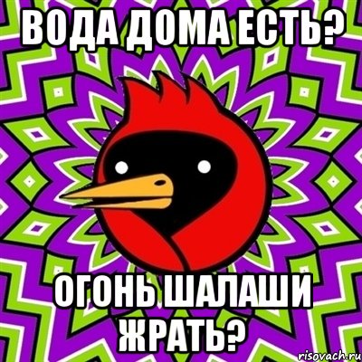 вода дома есть? огонь шалаши жрать?, Мем Омская птица