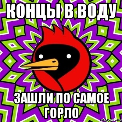 концы в воду зашли по самое горло, Мем Омская птица
