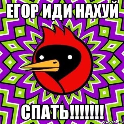 егор иди нахуй спать!!!, Мем Омская птица