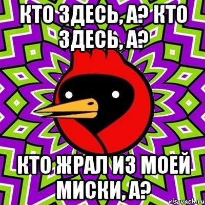 кто здесь, а? кто здесь, а? кто жрал из моей миски, а?, Мем Омская птица