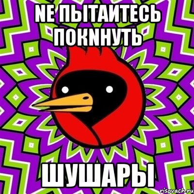 nе пытаитесь покnнуть шушары, Мем Омская птица