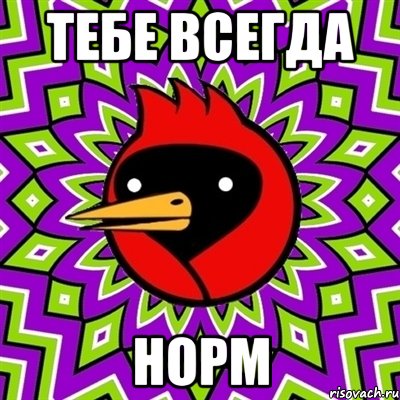 тебе всегда норм, Мем Омская птица