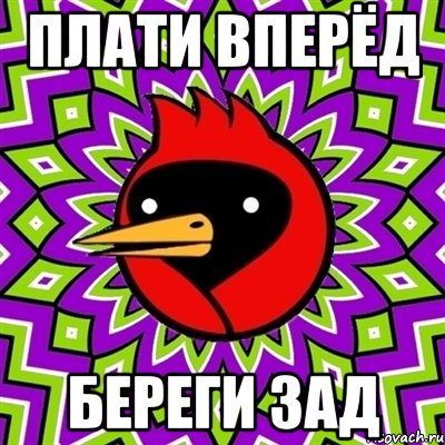 плати вперёд береги зад, Мем Омская птица
