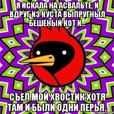 я искала на асвальте, и вдруг из куста выпругныл бешеный кот и... съел мой хвостик хотя там и были одни перья., Мем Омская птица