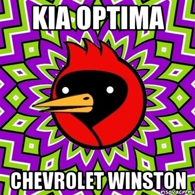 kia optima chevrolet winston, Мем Омская птица