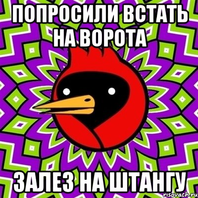 попросили встать на ворота залез на штангу, Мем Омская птица