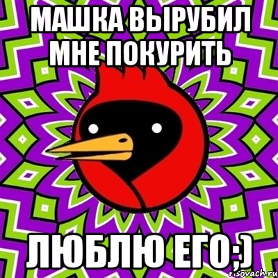 машка вырубил мне покурить люблю его;), Мем Омская птица